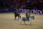 Quadrille - 00781